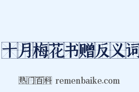 十月梅花书赠反义词是什么意思的图片